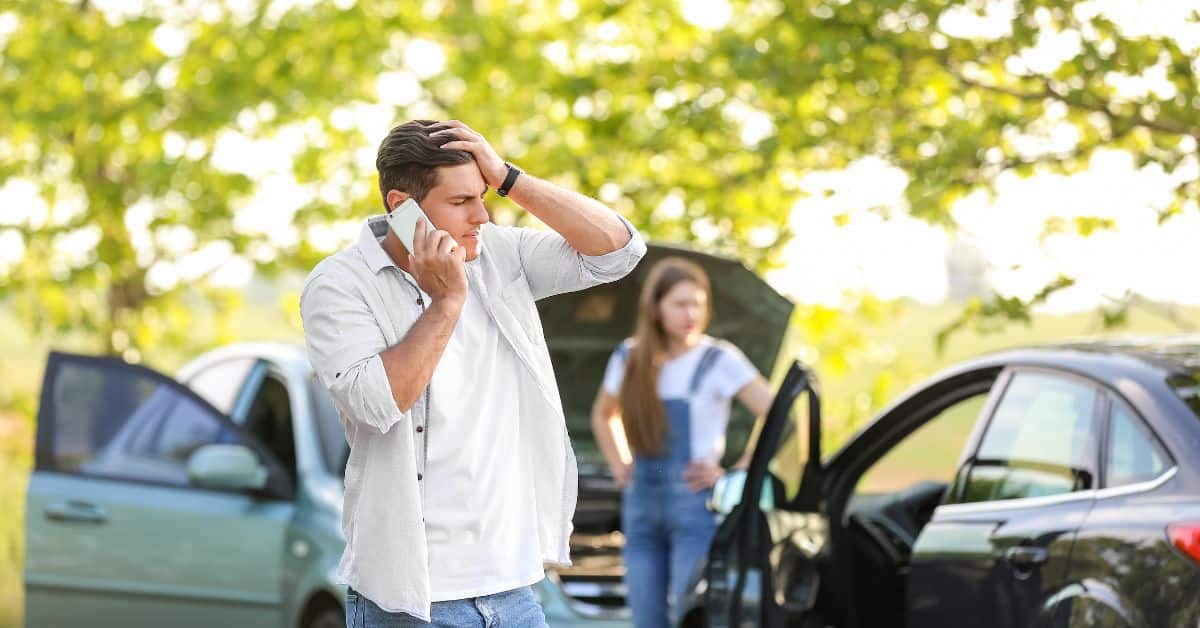 דרסת חיה בטעות האם אפשר לחמוק מעונש ומה יהיה הקנס המקסימלי