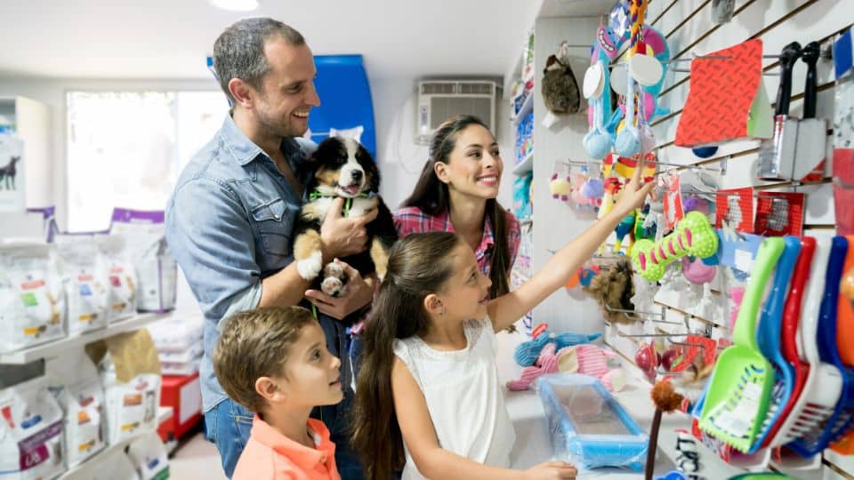מותג חנות חיות